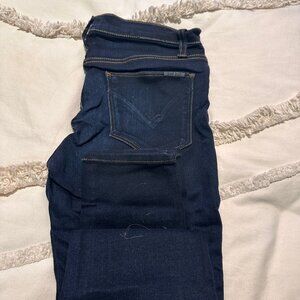 Hudson Skinny Jeans